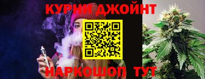 гидра Бердск