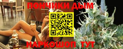 гидра Бердск
