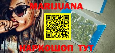 гидра Бердск