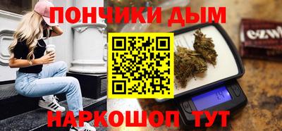 гидра Бердск