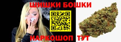 гидра Бердск