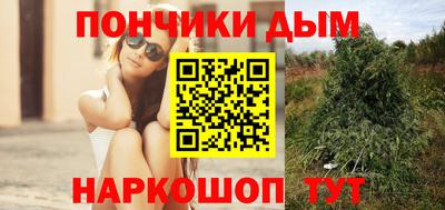 гидра Бердск