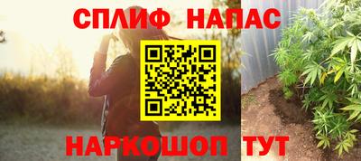 гидра Бердск