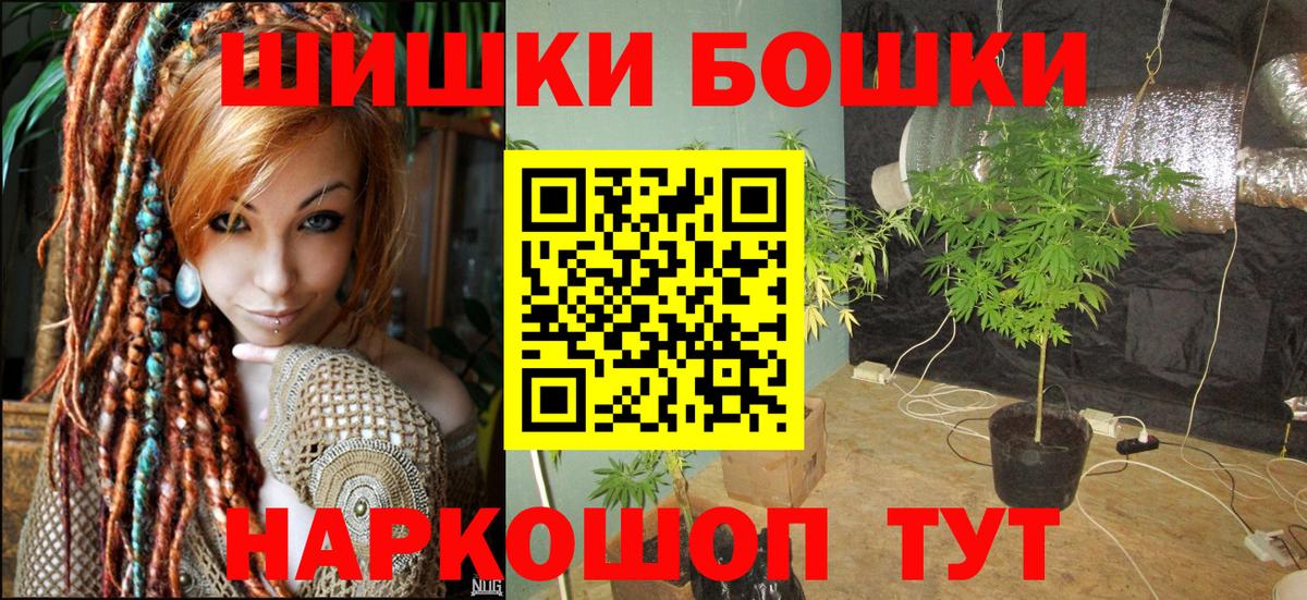 Шишки марихуана сатива  Канабис индика  МАРИХУАНА план  Гудермес  Вход с VPN 